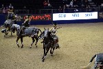 Quadrille - 00744